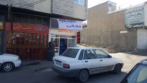 لاستیک فالکن بنیامین