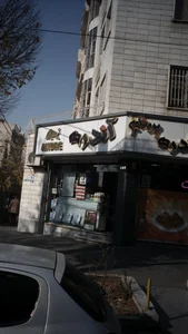 پروتئین آندره