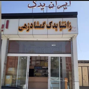 زانتیا یدک گمشادزهی