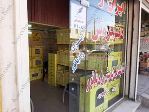 نمایندگی کوشش رادیاتور اردلان اهواز