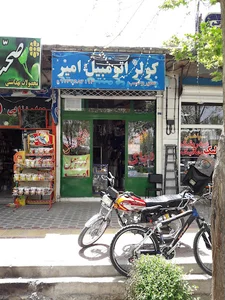 کولر اتومبیل امیر