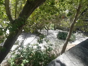 میدان گنجنامه