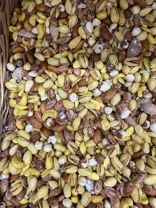 آجیل و خشکبار رضا