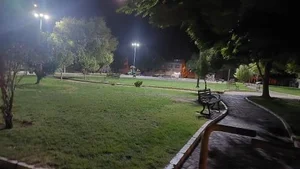 پارک یاس 4