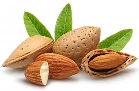 خواص بادام و روغن بادام