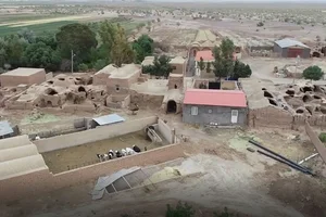 رستوران زیتون