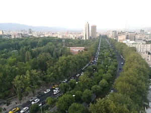 علیرضا توکلی