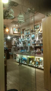 Sarv Gallery