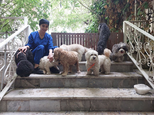Bahara veterinary