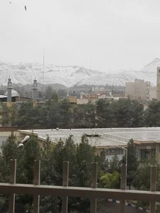 رایان کار