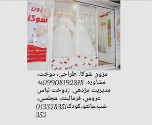 Mezon_shooka