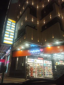 مایلی حکیم نظامی