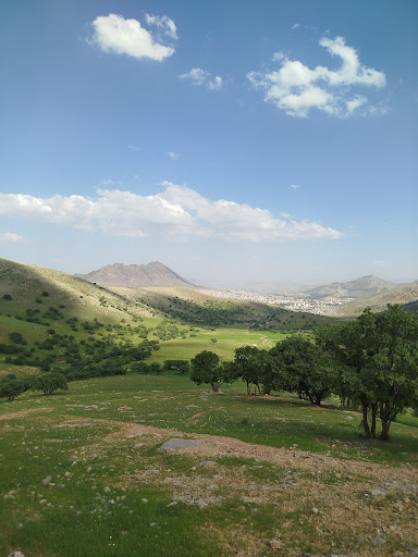 تووَه فلک‌الدین