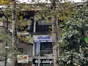 بیمه سامان 4