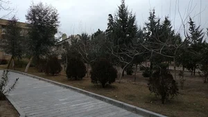 بوستان درخشان