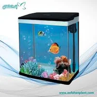پخش دنیای ماهی