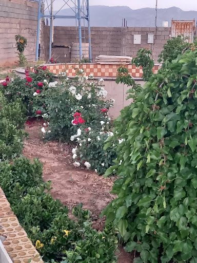 باغ عباد دهقانی