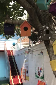 مهد کودک نارنجی