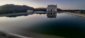 پردیس امیدوار