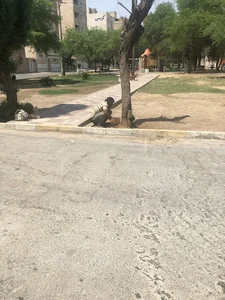پارک شهید خواجه نژاد