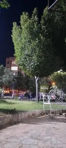 بوستان کودک