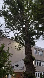 فرهنگسرای فردوسی