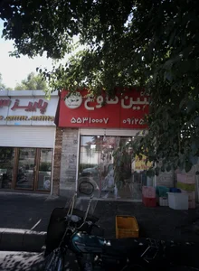 پروتئین طلوع 2