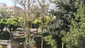 بوستان کاج