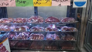 پروتئینی سارینا