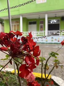 Kheradmand School