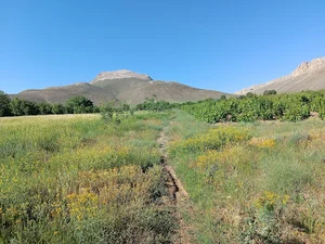 باغ ویلای حاج عزت رفیعی فر