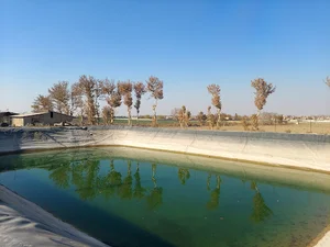 مرغداری و مزرعه کشاورزی نمونه چنگیزی