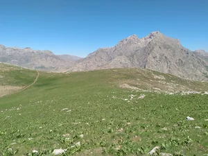 فلات طاق بستان ( دشت کاهو )