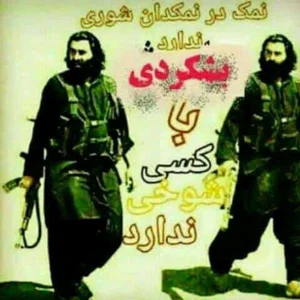 موسسه شاکر حساب پارس (حسابداری و خدمات مالی و مالیاتی )