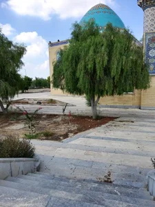 مسجد امام حسن مجتبی 5