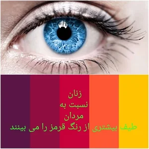 عینک بینه 3