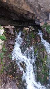 موبایل وصوتی تصویری هی جار کوهرنگ