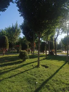 پارک شهرداری 2