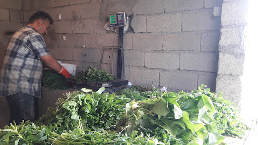 سبزی فروشی رامین