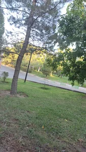 بوستان سعدی
