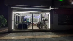 آریا مسکن