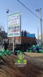 آرال نهال میاندوآب 2