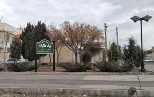 پارک مالیات