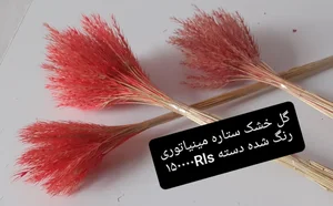 تامین کننده گل خشک 4