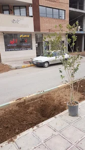 املاک کارن