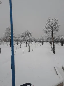 بوستان معلم