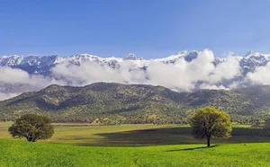 دشتک سی سخت