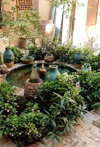 کافه خانه نقاشی یزد 2