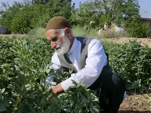 دشت محمدیه