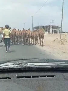 تعمیر لوازم سرد کننده بنیانی